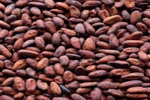 COCOA BEANS from Nigeria